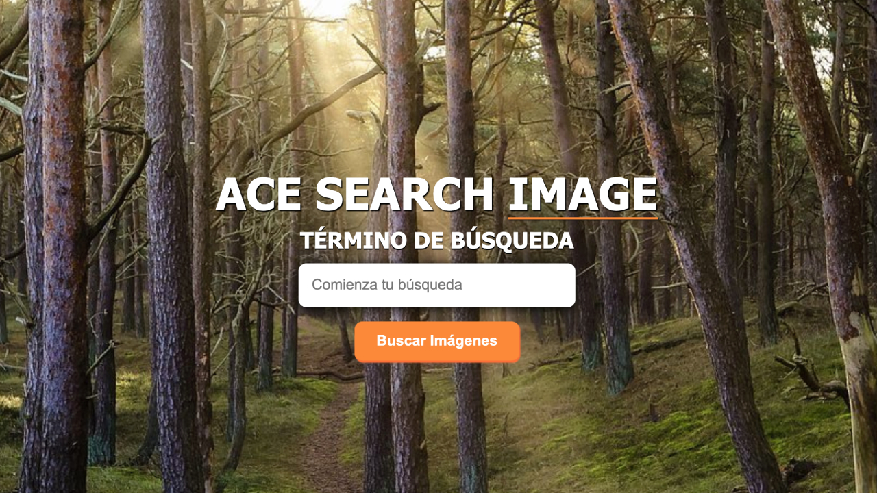 Ace Search